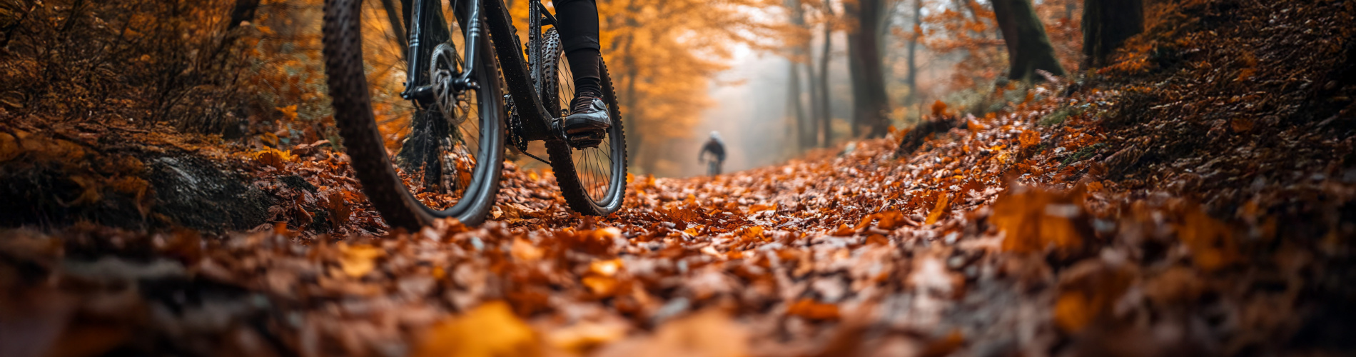 Van der Linden Tweewielers